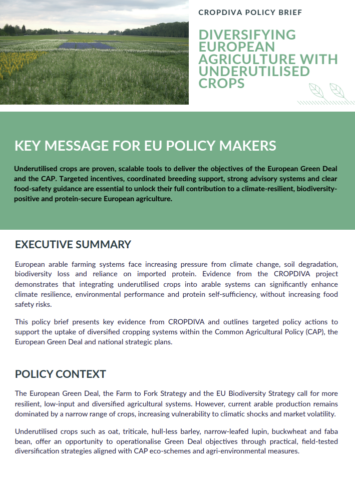 CROPDIVA Policy Brief – Diversifying European Agriculture with Underutilised Crops (cover)